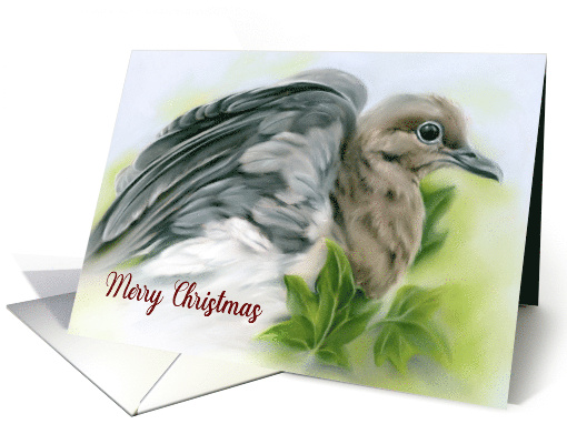 Merry Christmas Mourning Dove with Ivy Pastel Bird Art card (1690444)