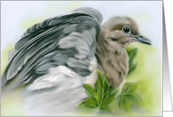 Any Occasion Mourning Dove with Ivy Pastel Bird Art Blank card