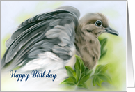 Happy Birthday Mourning Dove with Ivy Bird Pastel Art card