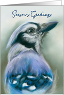 Seasons Greetings Holiday Blue Jay Pastel Bird Art card