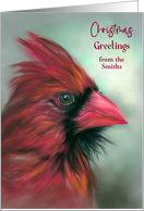 Christmas Red Male Cardinal from Personalized Surname Songbird Art S card