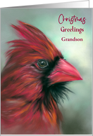 Christmas Red Male Cardinal Grandson Custom Relative Songbird Art card