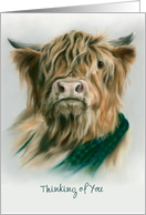 Thinking of You Custom Highland Cow with Plaid Pastel Art card