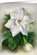Any Occasion White Narcissus and Green Ivy Floral Pastel Art Blank card