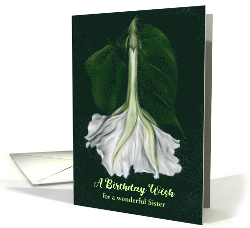 Sister Birthday Wish Moonflower White Floral Pastel... (1695572)