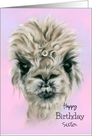 Sister Birthday Pretty Alpaca on Pink Pastel Art Custom Relative card