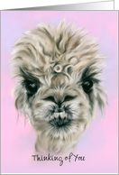 Thinking of You Pretty Alpaca on Pink Pastel Cute Animal Art Custom card