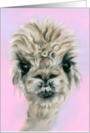 Any Occasion Pretty Alpaca on Pink Pastel Cute Animal Art Blank card