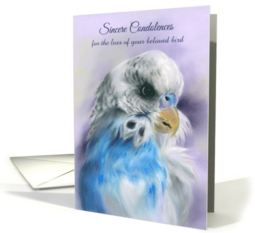 Loss of Pet Condolences Blue Parakeet Budgerigar Pastel... (1699558)