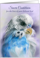 Loss of Pet Condolences Blue Parakeet Budgerigar Pastel Bird Custom card