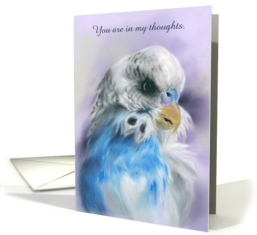 Thinking of You Blue Parakeet Budgerigar Pastel Bird Art... (1699562)
