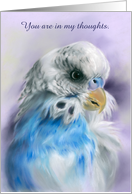 Thinking of You Blue Parakeet Budgerigar Pastel Bird Art Personalized card