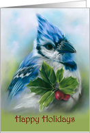 Happy Holidays Blue Jay with Holly Pastel Bird Art card