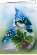 Any Occasion Blue Jay with Holly Pastel Bird Art Blank card