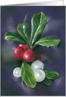 Any Occasion Winter Berries Holly Mistletoe Pastel Art Blank card