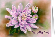 Get Well Pink Chrysanthemums Flower Pastel Art card