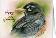 Happy Birthday American Robin Bird Pastel Art card
