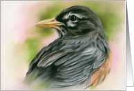 Any Occasion Custom American Robin Bird Pastel Art Blank card