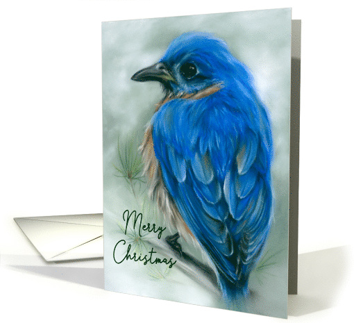 Merry Christmas Eastern Bluebird with Pine Pastel Bird Art card