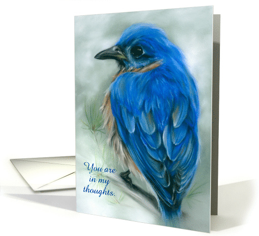 Custom Thinking of You Eastern Bluebird with Pine Pastel Bird Art card