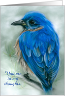 Custom Thinking of You Eastern Bluebird with Pine Pastel Bird Art card