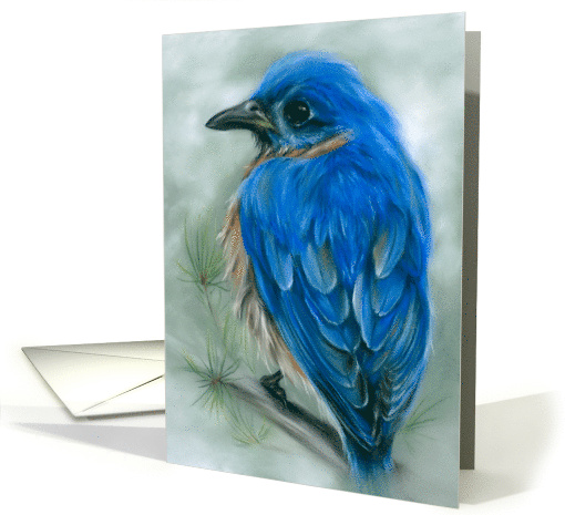 Any Occasion Eastern Bluebird with Pine Pastel Bird Art Blank card