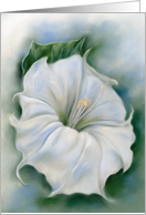 Any Occasion White Flower Datura Blossom Pastel Art Blank card