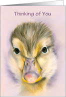 Thinking of You Sweet Yellow Duckling Pastel Bird Art Custom card
