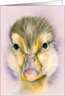 Any Occasion Sweet Yellow Duckling Pastel Bird Art Blank card