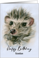 Birthday Grandson Fuzzy Hedgehog Pastel Pet Art Personalized card