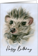 Birthday Warm and Fuzzy Hedgehog Pastel Pet Animal Art card