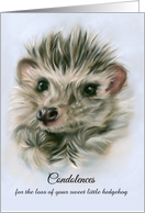 Condolences Loss of Pet Fuzzy Hedgehog Pastel Art Personalized card