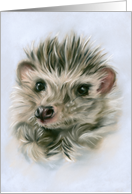 Any Occasion Fuzzy Hedgehog Pastel Pet Animal Art Blank card