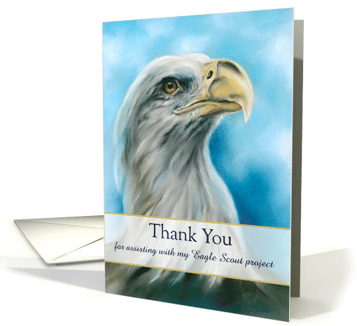 Thank You Eagle Scout Project Help Bald Eagle Yearning... (1716842)