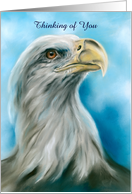Thinking of You Bald Eagle Yearning for Sky Pastel Bird Art Custom card