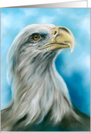 Any Occasion Bald Eagle Yearning for Sky Pastel Bird Art Blank card