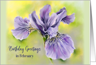 February Birthday Greetings Iris Purple Flower Pastel card