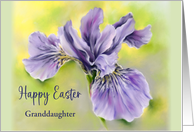 Granddaughter Easter Iris Purple Flower Pastel Personalized Relative card