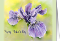 Happy Mothers Day Iris Purple Flower Pastel Art card