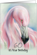 Sixtieth Birthday Pink Flamingo Pastel Bird Art Custom Age card