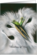 Thinking of You Custom Egret Couple White Birds Pastel Art card