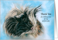 Thank You Pet Sitter Custom Cute Fluffy Guinea Pig Animal Art card