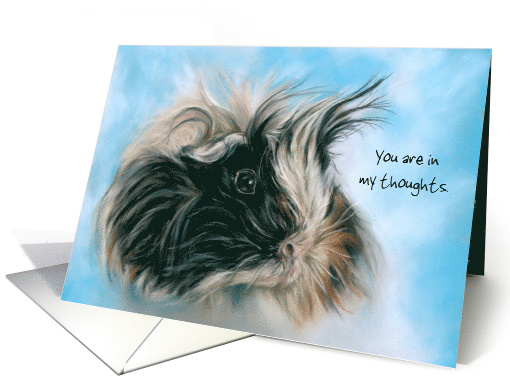 Thinking of You Custom Cute Fluffy Guinea Pig Animal Art card