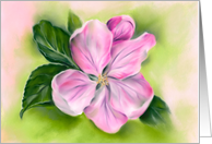 Any Occasion Pink Apple Blossom Pastel Flower Art Blank card