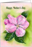 Happy Mothers Day Pink Apple Blossom Pastel Flower Art card