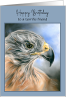 Friend Birthday Hawk Raptor Portrait Pastel Art Personalized card