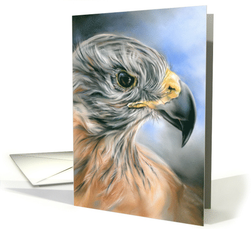 Any Occasion Hawk Raptor Portrait Pastel Art Blank card (1726270)