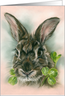 Any Occasion Brown Bunny Rabbit in Clover Pastel Animal Art Blank card