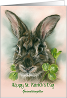 St Patricks Day Granddaughter Brown Bunny Rabbit in Clover Custom card