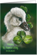 St Patricks Day Grandson Swan Chick Pastel Bird Art Custom card